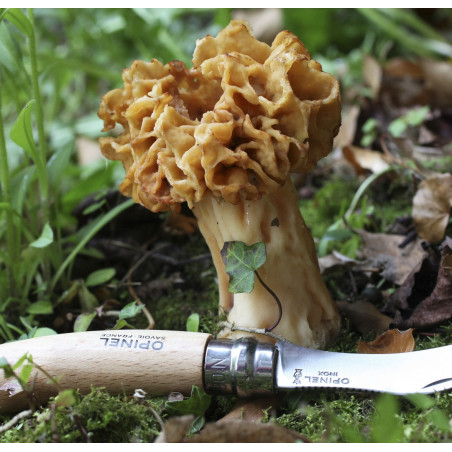 Couteau à champignons N°8 Opinel